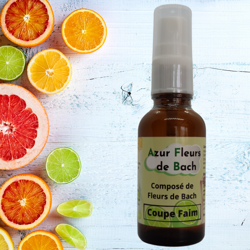 Coupe faim | Grignotages émotionnels | Fleurs de Bach