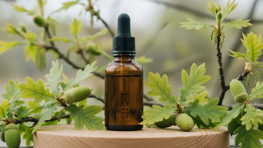 Oak (Chêne) : la Fleur de Bach de la force intérieure et de la persévérance