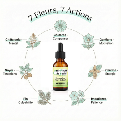 MINCEUR | Flacon de 30ml | Mélange de 7 Fleurs de Bach