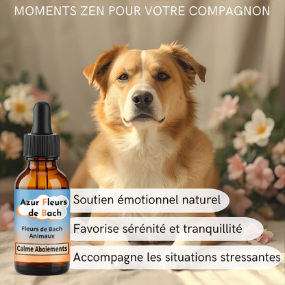 Calme Aboiements | Fleurs de Bach sans alcool ajouté