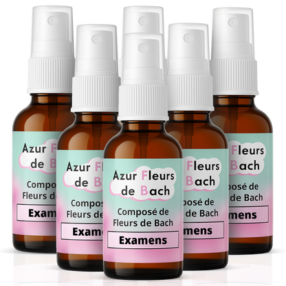 Examens & Entretiens | Fleurs de Bach