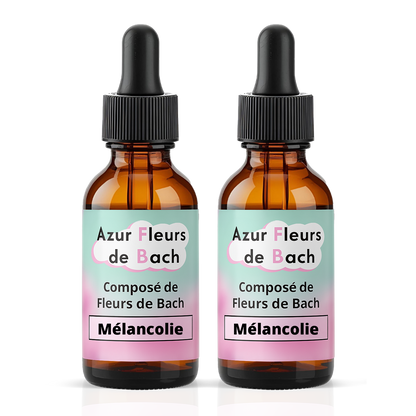 Déprime Mélancolie | Fleurs de Bach