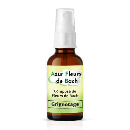 Grignotage émotionnel | Fleurs de Bach | Spray 30ml