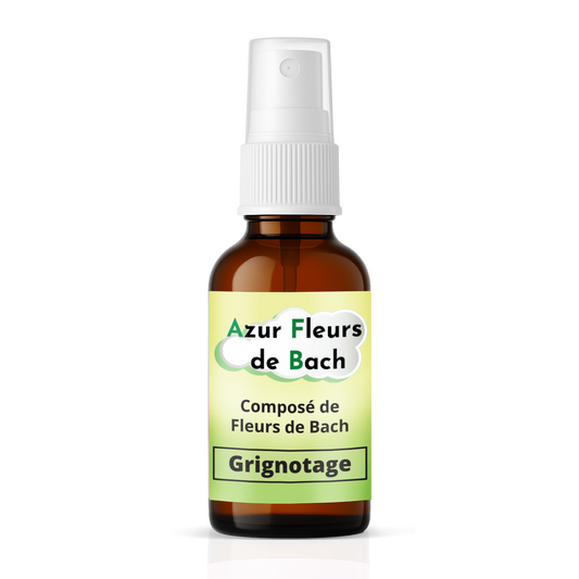 Grignotage émotionnel | Fleurs de Bach | Spray 30ml