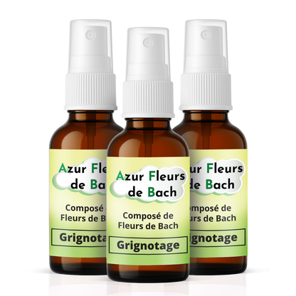 Grignotage émotionnel | Fleurs de Bach | Spray 30ml