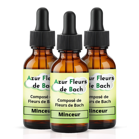MINCEUR | 3 flacons de 30ml | Mélange de 7 Fleurs de Bach