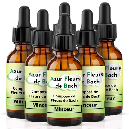 MINCEUR | Flacon de 30ml | Mélange de 7 Fleurs de Bach