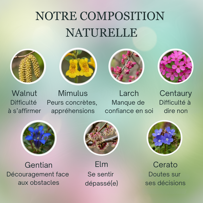 Confiance | Assurance & Estime de soi | Fleurs de Bach
