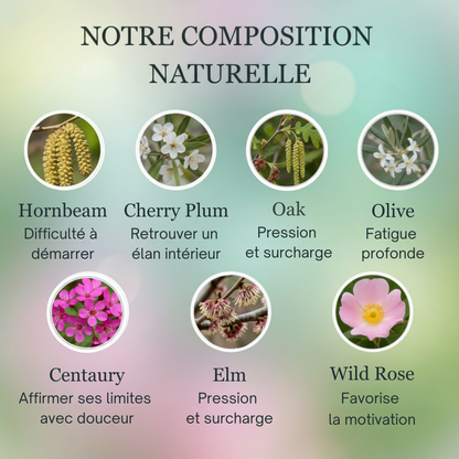 Énergie | Élan & Vitalité | Fleurs de Bach