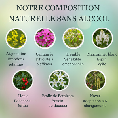 Hypersensibilité Enfant | Fleurs de Bach sans alcool