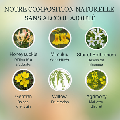 Joie & Bien-être | Fleurs de Bach sans alcool ajouté