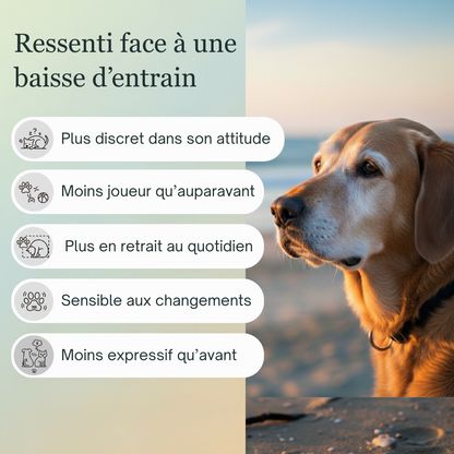 Joie & Bien-être | Fleurs de Bach sans alcool ajouté