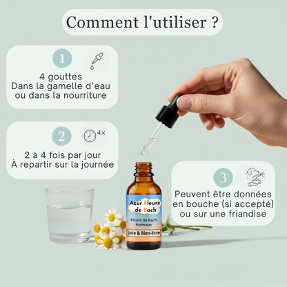 Joie & Bien-être | Fleurs de Bach sans alcool ajouté