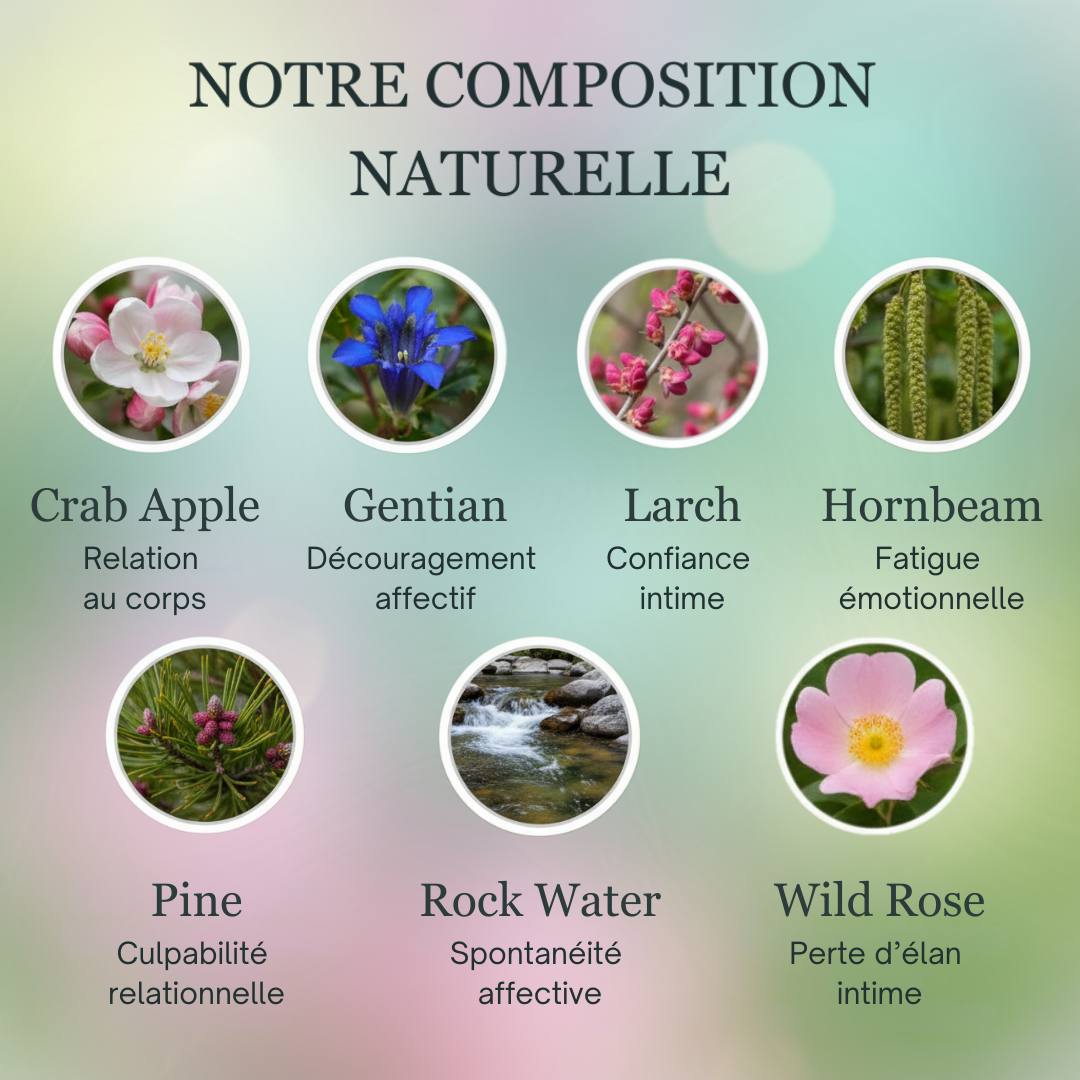 Libido | Complicité & Vie affective | Fleurs de Bach