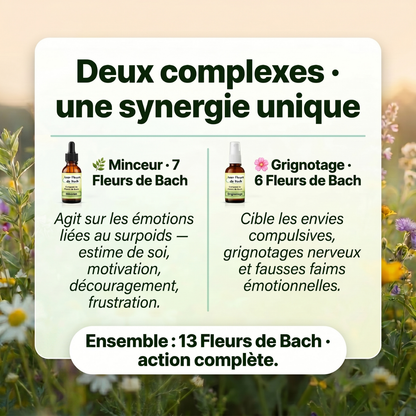 Lot Minceur | 2 Grignotage + 3 Minceur dont 1 Offert | Fleurs de Bach