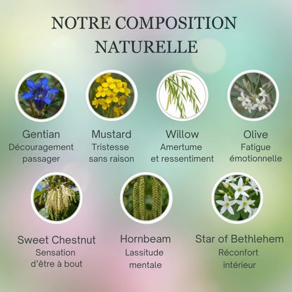 Mélancolie | Fleurs de Bach