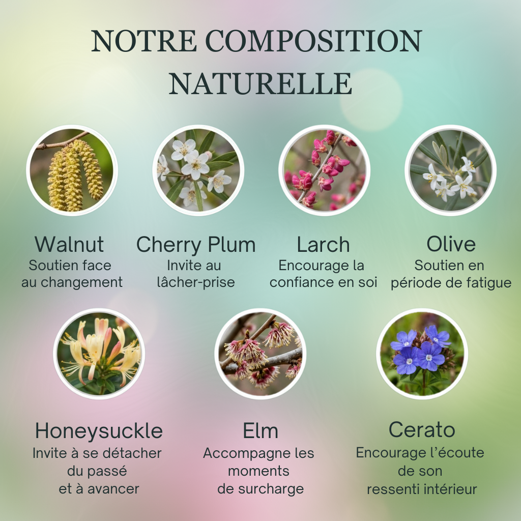 Ménopause | Équilibre & Confort intérieur | Fleurs de Bach