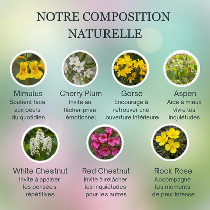 Peurs | Courage & Force intérieure | Fleurs de Bach