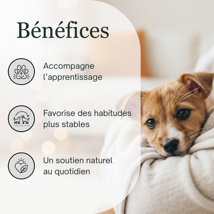 -25% Habitudes & Propreté | Fleurs de Bach sans alcool ajouté