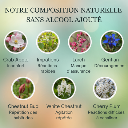 -25% Habitudes & Propreté | Fleurs de Bach sans alcool ajouté