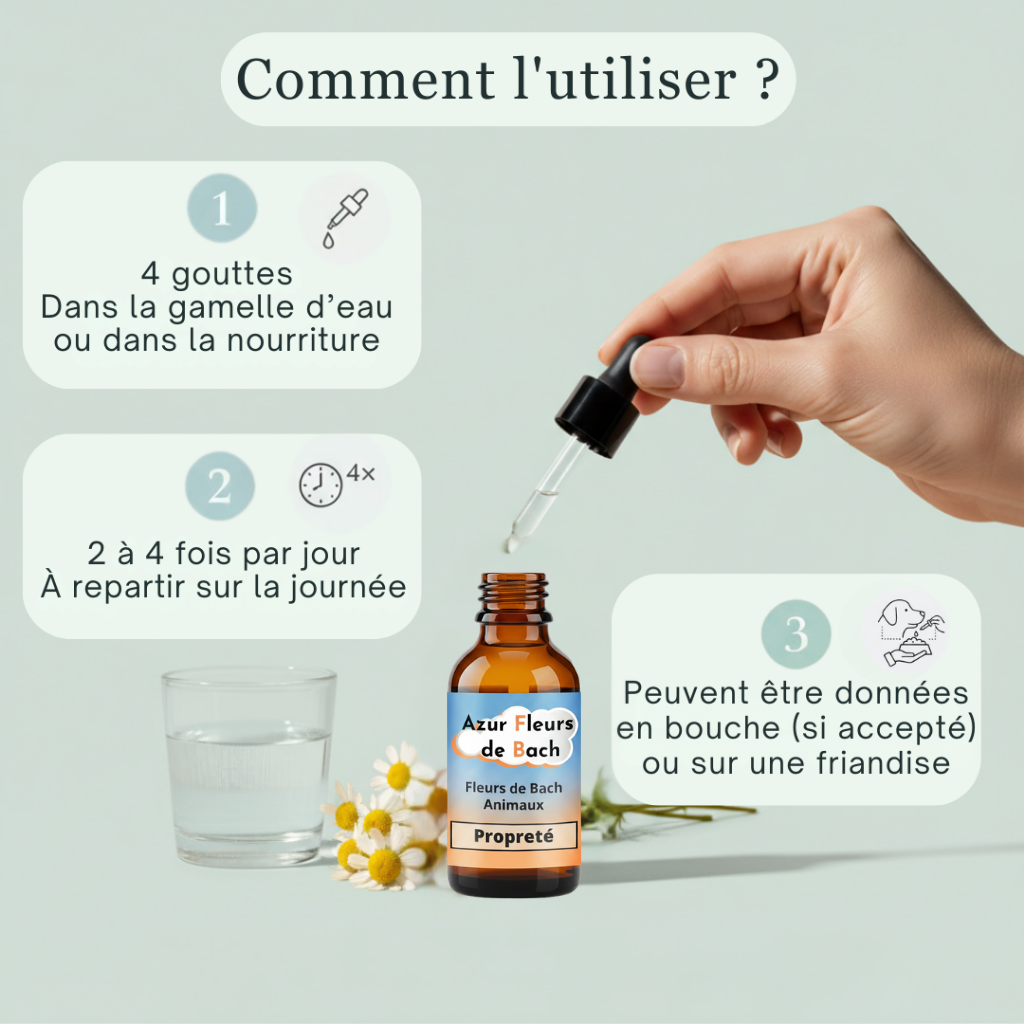 -25% Habitudes & Propreté | Fleurs de Bach sans alcool ajouté