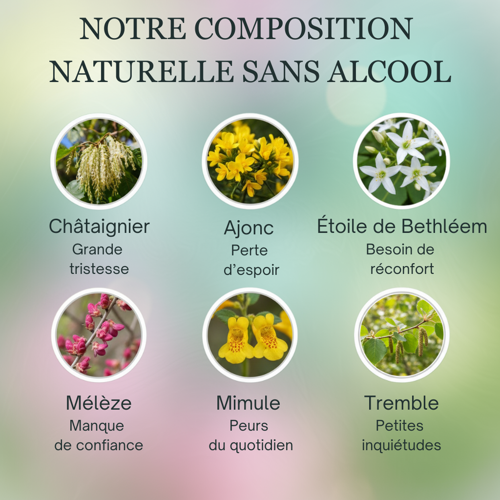 Réconfort | Fleurs de Bach sans alcool