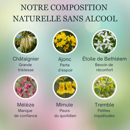 Réconfort | Fleurs de Bach sans alcool