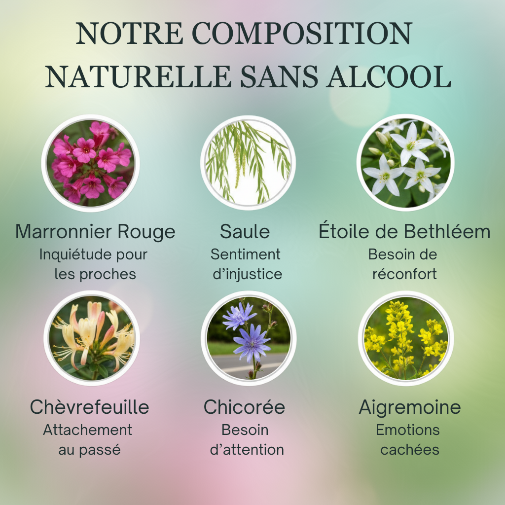Séparation | Fleurs de Bach sans alcool