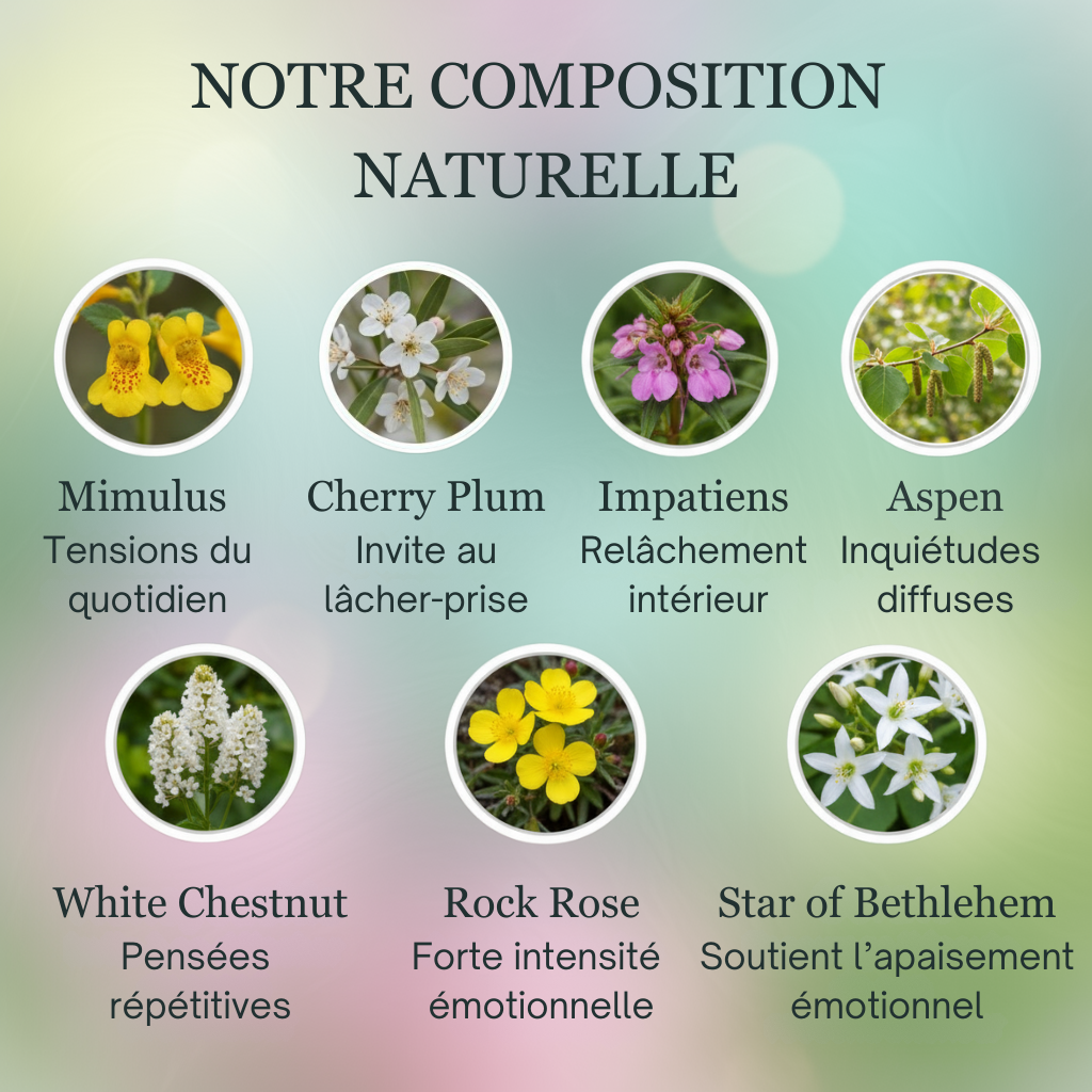 Sérénité | Calme & Équilibre émotionnel | Fleurs de Bach