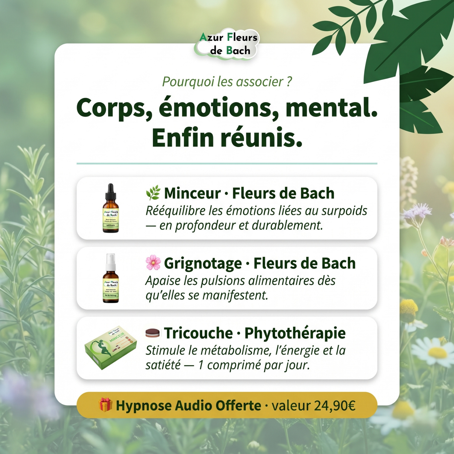 Trio Minceur | Minceur + Grignotage + Tricouche + Hypnose Offerte