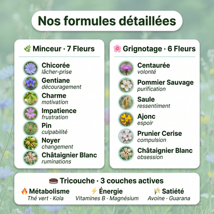 Trio Minceur | Minceur + Grignotage + Tricouche + Hypnose Offerte