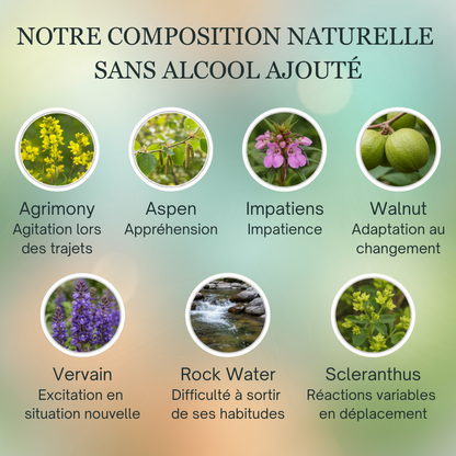 -25% Voyage animaux | Fleurs de Bach sans alcool ajouté