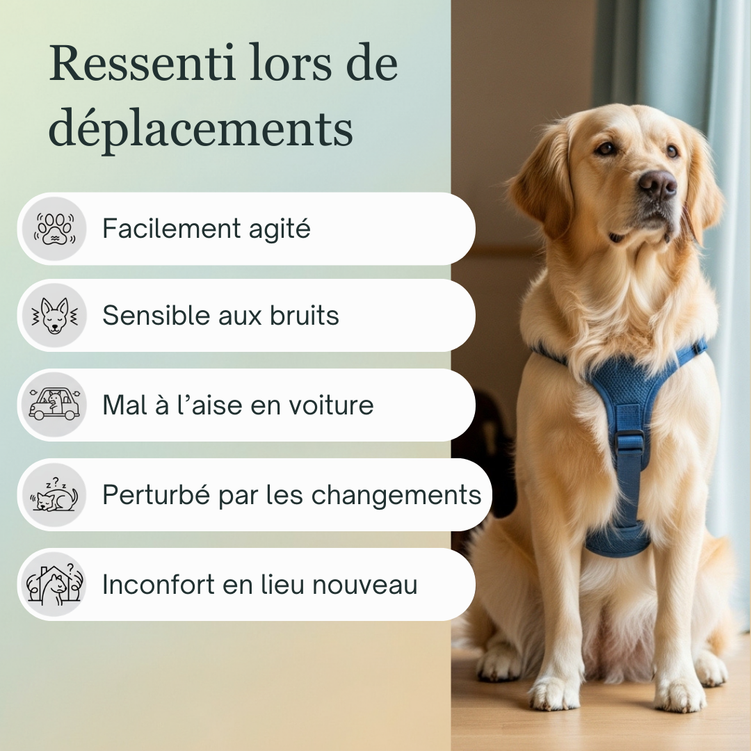 -25% Voyage animaux | Fleurs de Bach sans alcool ajouté