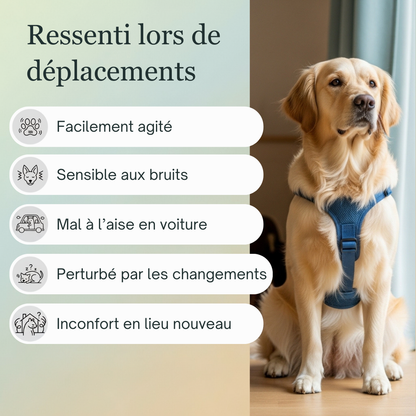 -25% Voyage animaux | Fleurs de Bach sans alcool ajouté