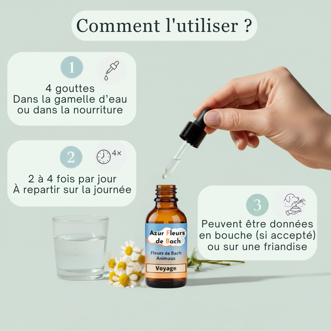 -25% Voyage animaux | Fleurs de Bach sans alcool ajouté