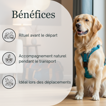 -25% Voyage animaux | Fleurs de Bach sans alcool ajouté