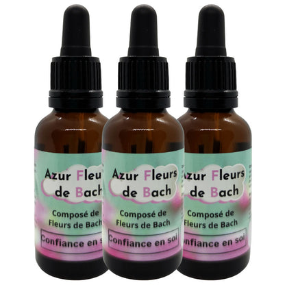 CONFIANCE EN SOI | Fleurs de Bach | Flacon de 30ml